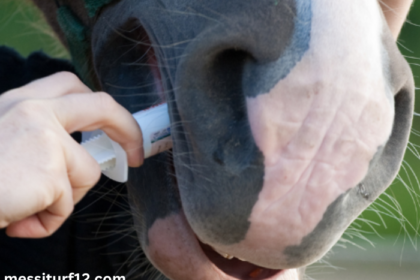 Élimination Des Chevaux