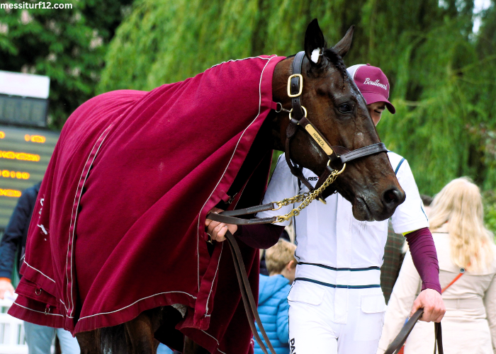 Un Cheval Par Jour