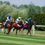 3 Chevaux Gagnant