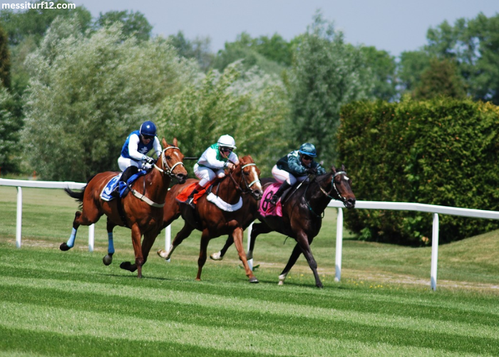 3 Chevaux Gagnant