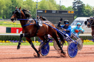 Programme Pmu DE Demain Lonab Pronostics