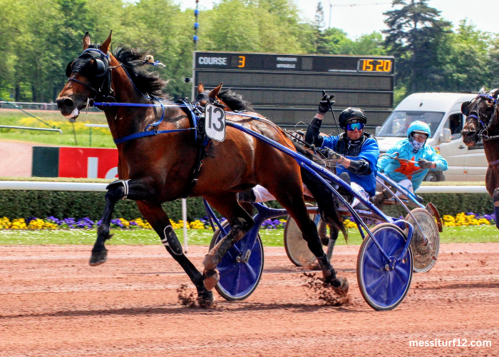 Programme Pmu DE Demain Lonab Pronostics