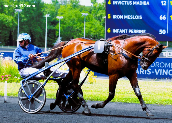 Meilleur Pronostic 3 Chevaux