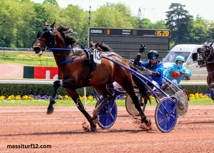 Programme Pmu DE Demain Lonab Pronostics