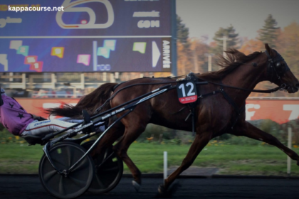 Cheval Gagnant Vip (2)