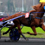 Les Interdits Au Tiercé