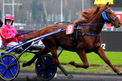 Les Interdits Au Tiercé