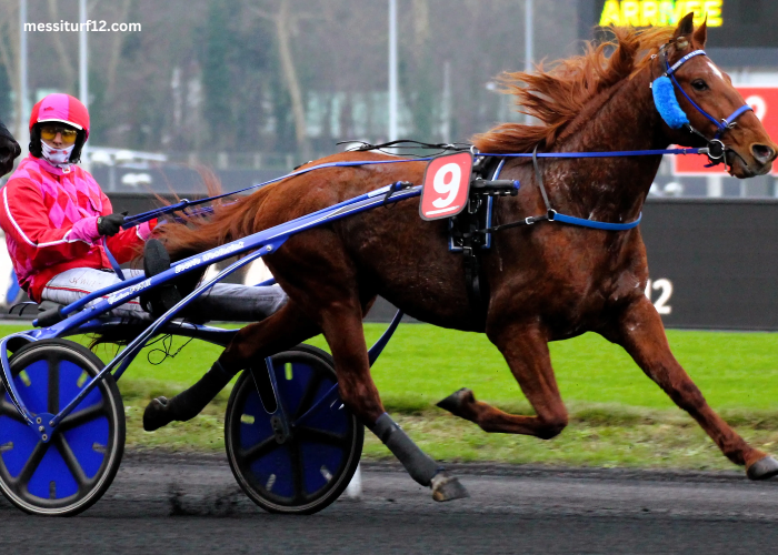 Les Interdits Au Tiercé