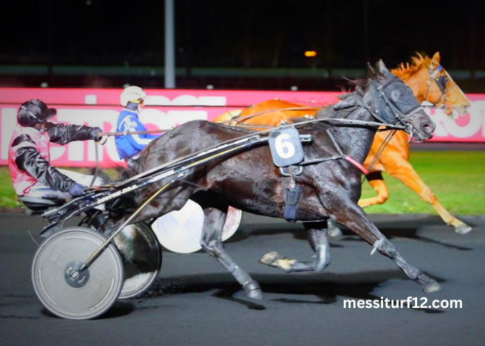 Duel Du Trio Gagnant