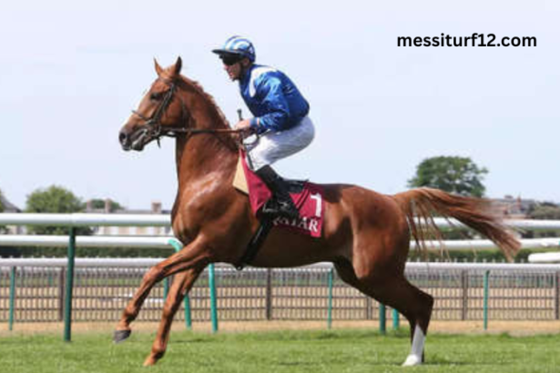 Le Sauveur Turf
