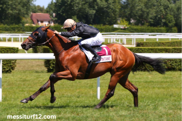 Ordre-Tierce Vip (1)