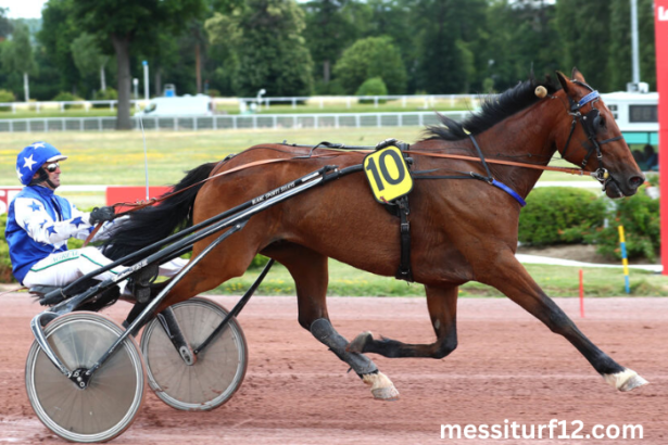 Resultat Des Courses Aujourd'hui