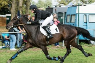 100100 Ordre Turf