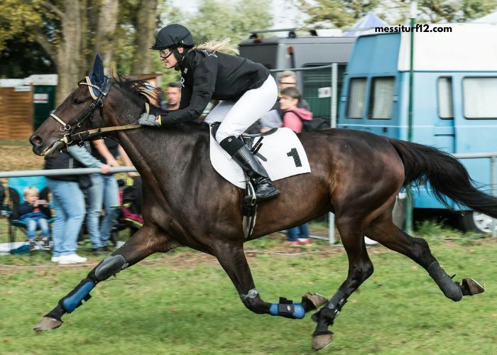 100100 Ordre Turf