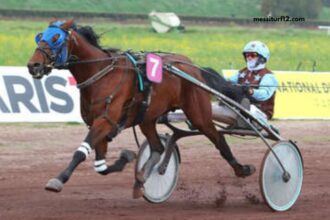 Jolie Turf Gagnant