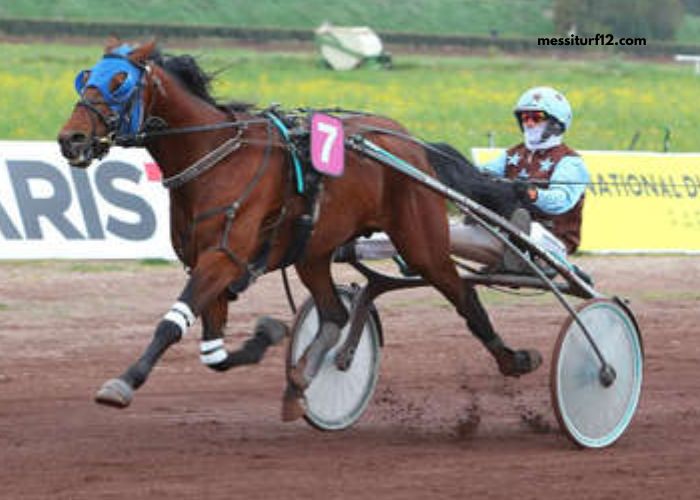 Jolie Turf Gagnant