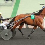 Pion Sur Pmu