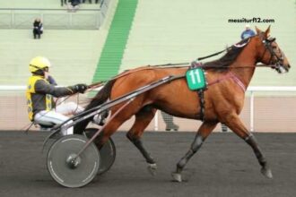 Pion Sur Pmu