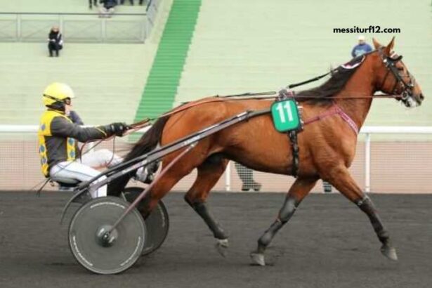 Pion Sur Pmu