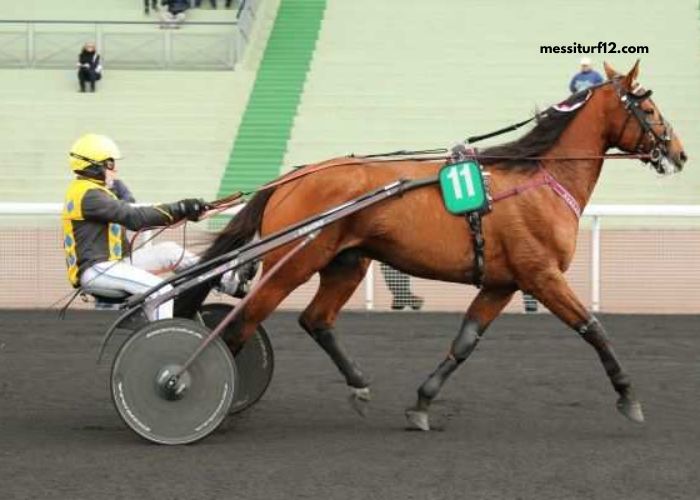 Pion Sur Pmu
