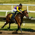 Pronostic Pmu Quinté Du Jour (5)
