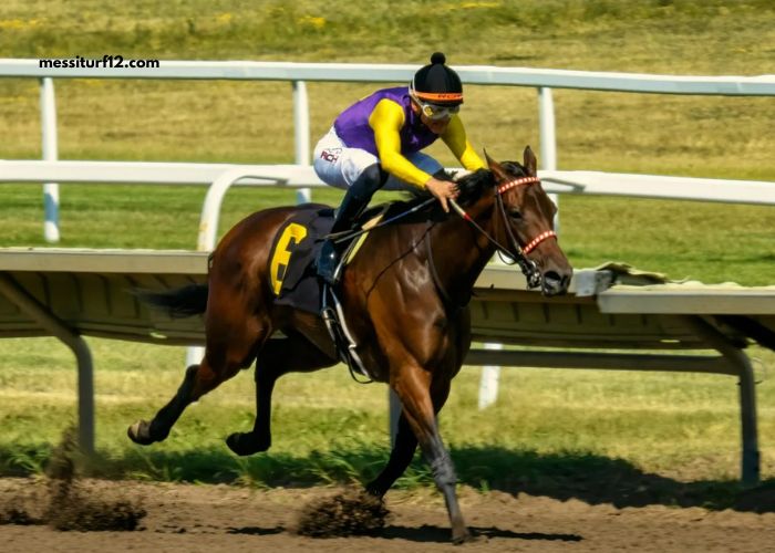 Pronostic Pmu Quinté Du Jour (5)