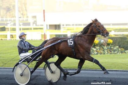 Trio 3 Chevaux