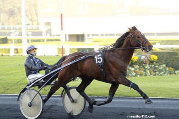 Trio 3 Chevaux